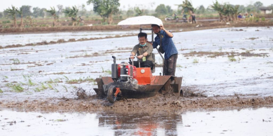 Maksimalkan Asuransi, Kementan Berharap Petani Terdampak Banjir Dibantu