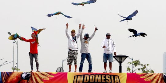 Keseruan Peserta dalam Lomba Burung Paruh Bengkok