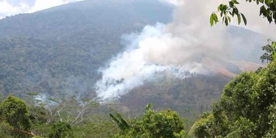 Libatkan 100 Orang, Warga dan Petugas Gotong Royong Padamkan Api di Gunung Ciremai