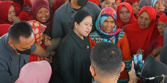 PDIP Pastikan Puan Tetap Temui Demokrat Meski Dikritik SBY hingga Andi Arief