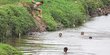 Minim Lahan Bermain, Anak-Anak Nekat Berenang di Aliran Deras Ciliwung