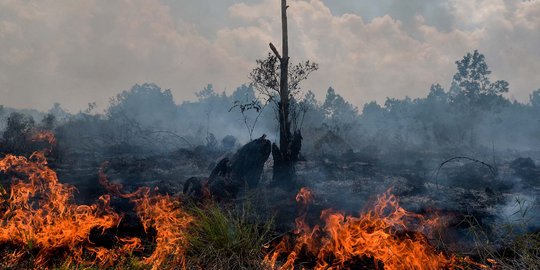 BMKG Catat 27 Titik Panas Terdeteksi di Kalsel, 5 Posko Karhutla Disiagakan