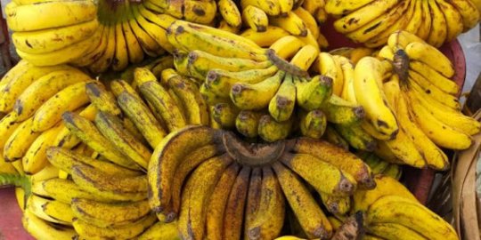 Manfaat Kulit Pisang untuk Tanaman, Bantu Tingkatkan Kesuburan