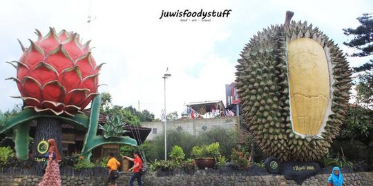 Wisata Kota Bogor yang Menarik untuk Dikunjungi, Populer dan Mudah Diakses