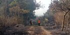 95 Hektare Area Taman Nasional Gunung Ciremai Hangus Terbakar