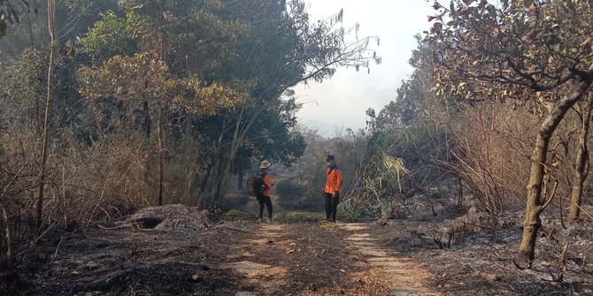 95 Hektare Area Taman Nasional Gunung Ciremai Hangus Terbakar | Merdeka.com