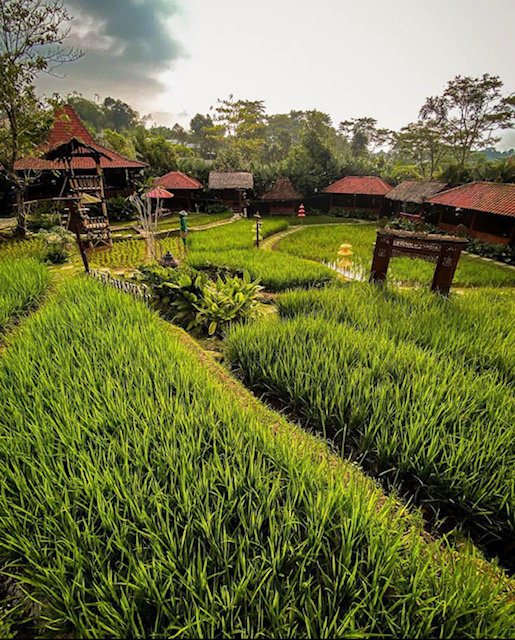 6 tempat wisata alam di bogor wajib dikunjungi dan nikmatilah keindahannya