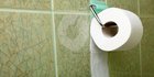Uni Eropa Larang Tisu Toilet Asal Rusia