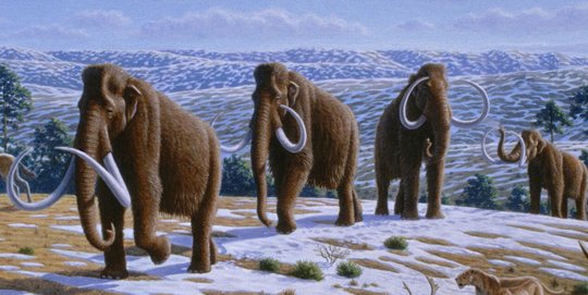 CIA Ingin Bangkitkan Gajah Purba Mammoth yang Telah Punah
