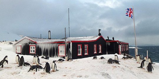 Empat Perempuan Inggris Ditugaskan Hitung Penguin di Antartika
