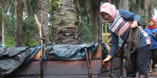 Asa Perempuan Pencari Minyak Bumi di Jambi