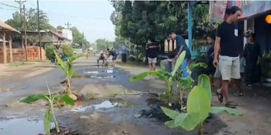 2 Tahun Rusak Tak Diperbaiki, Warga Tangerang Tanam Pohon Pisang di Tengah Jalan