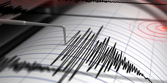 Kota Jayapura Diguncang Gempa Magnitudo 4,5