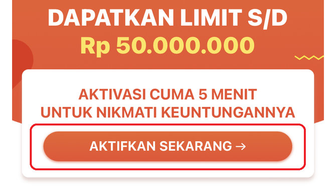 spaylater