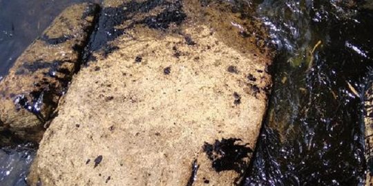 Contoh Perusakan Lingkungan dan Penjelasannya, Perlu Diketahui