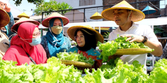 Potret 11 Kampung Sayur di Surabaya, Penuhi Gizi dan Ketahanan Pangan Keluarga