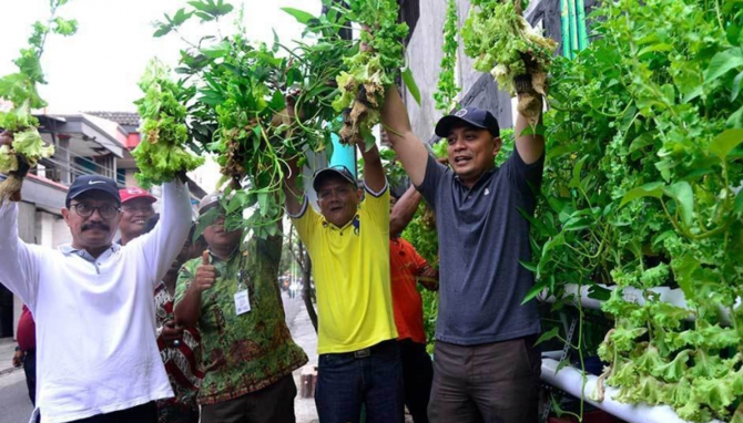 kampung sayur di kota surabaya