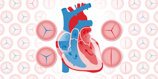 Mengenal Penyakit Katup Jantung dan Penyebabnya, Bisa Sebabkan Gagal Jantung