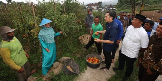 Bertemu Ibas, Petani di Magetan Keluhkan Pupuk Langka dan Mahal