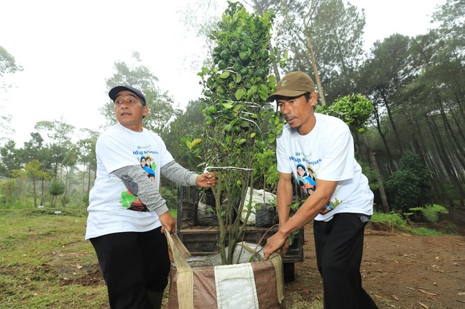 Lingkungan Lebih Hijau Dan Jadi Cuan, Nasabah Ungkap Manfaat 'BRI ...