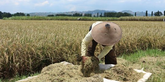 Sejak Pandemi, Angka Kelaparan di Dunia Meningkat 46 Juta Orang