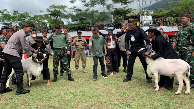 tradisi adu domba di garut