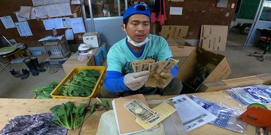 Tidak Ada Niatan Sombong, Segini Gaji jadi Petani di Jepang