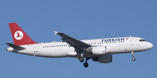 Kronologi Adu Jotos di Turkish Airlines, Berawal dari Bawa Binatang Peliharaan