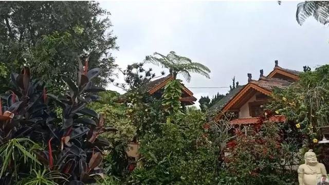 7 potret rumah august melasz di pegunungan asri dan unik