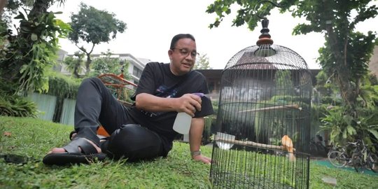 Intip Kegiatan Anies Baswedan Mandikan Burung Usai Kembali jadi Warga Jakarta
