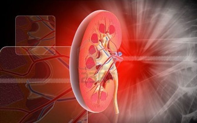 diagnosis ginjal