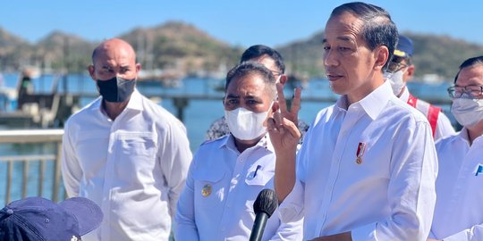 Jokowi Mengaku Hafal Semua Jenis Pohon di IKN: Saya Lulusan UGM Jurusan Kehutanan