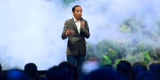 Jokowi Ajak Berinvestasi di IKN: Bisa Pilih Mau di Mana, Kawasan Inti Harganya Beda