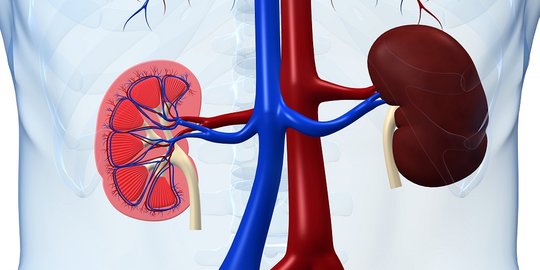 Kemenkes Terbitkan Pedoman Penanganan Anak Gangguan Ginjal Akut: RS Minimal Ada PICU