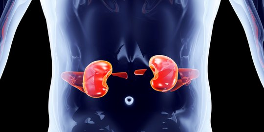 Data Sementara Anak Gagal Ginjal Misterius dari DKI Hingga Daerah, ini Gejalanya