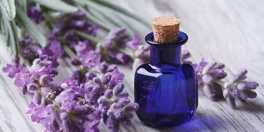 5 Manfaat Minyak Lavender untuk Rambut, Bantu Pertumbuhan hingga Atasi Kutu