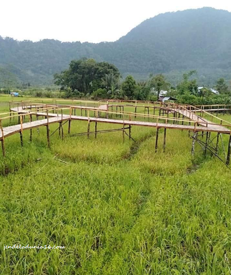 7 tempat wisata di pamah semelir langkat surga wisata yang tersembunyi