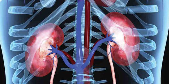 RSCM sebut Penyebab Gagal Ginjal Akut Kemungkinan Ethylene Glycol yang Masuk Mulut