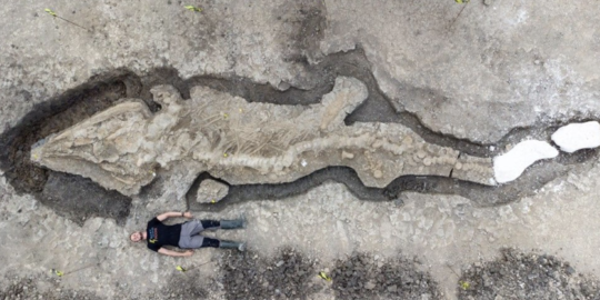 Fosil Naga Laut Berusia 180 Juta Tahun Ditemukan di Waduk Inggris