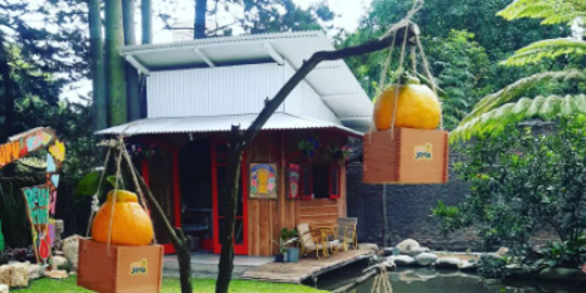 Serunya Berwisata Petik Buah di Mupu Bandung, Punya 1.000 Pohon Jeruk Jepang