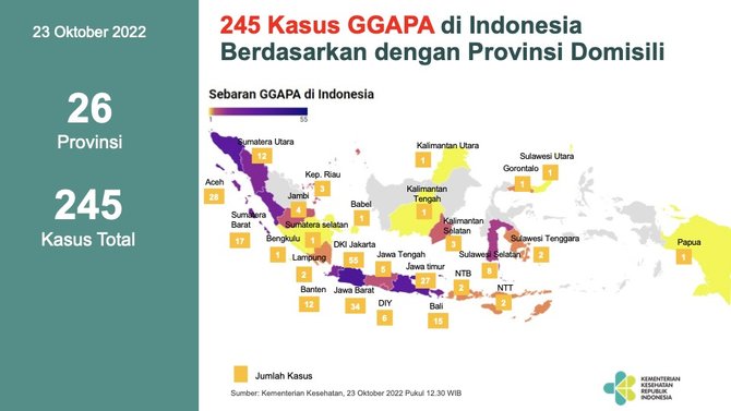 Kemenkes: Kasus Gagal Ginjal Akut Anak Bertambah Jadi 245 | Merdeka.com