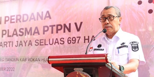 Gubernur Riau Akui Program PSR Bikin Produksi Sawit Melonjak