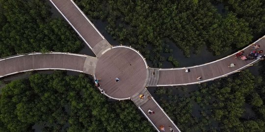 Menikmati Keindahan Taman Mangrove di Desa Pesisir Ketapang