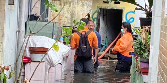 Cara Mengatasi Penyakit Leptospirosis, Waspadai Penyebab dan Gejalanya