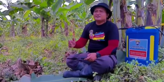 Kisah Bhabinkamtibmas Ikut Jaga Ketahanan Pangan, Kelola Kebun Pisang