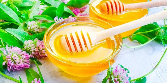 5 Manfaat Clover Honey bagi Kesehatan, Baik untuk Jantung dan Otak