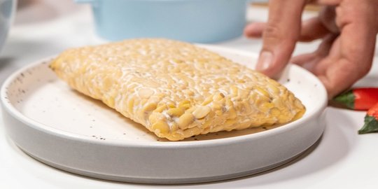 5 Fakta Menarik Tempeh atau Tempe, Google Doodle Hari Ini