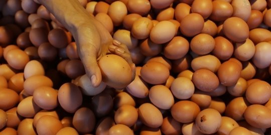 Update Harga Beras Hingga Telur di Jakarta, Ada yang Alami Kenaikan