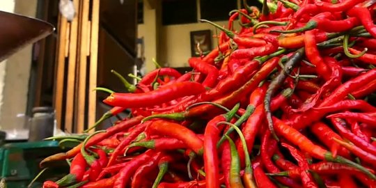 Harga Cabai Hingga Telur Ayam Anjlok di Oktober 2022