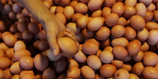 Pastikan Harga Telur Tetap Stabil, Pemerintah Susun Harga Acuan
